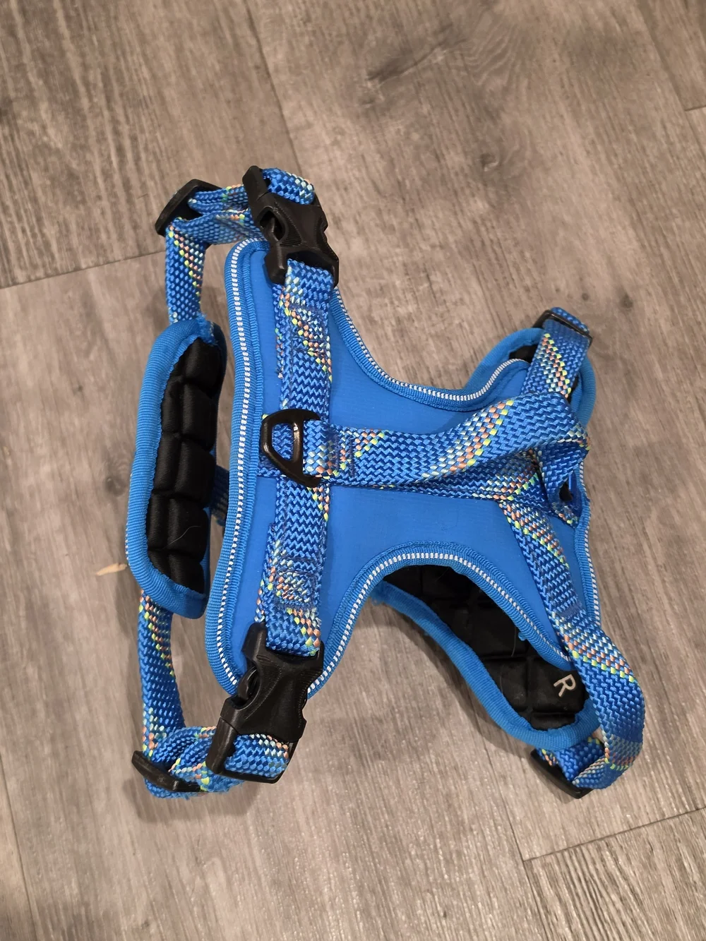 Arcadia Trail Blue Padded Dog Harness with Multicolor Webbing